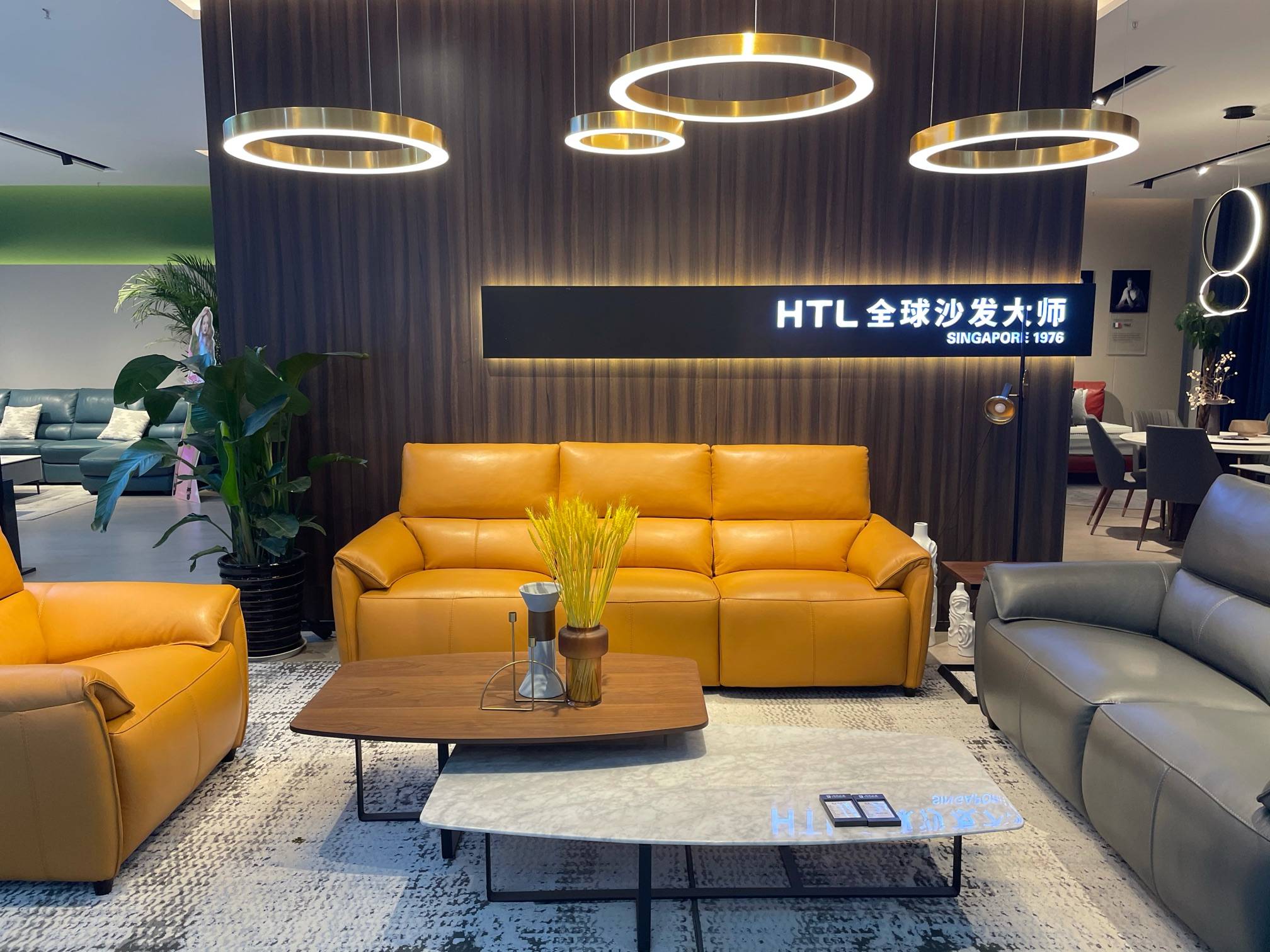 新加坡沙发品牌HTL图片
